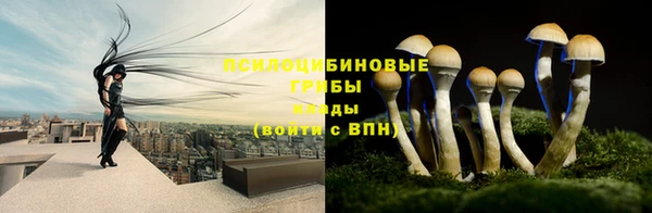 хмурый Арсеньев