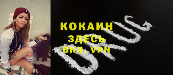 хмурый Арсеньев