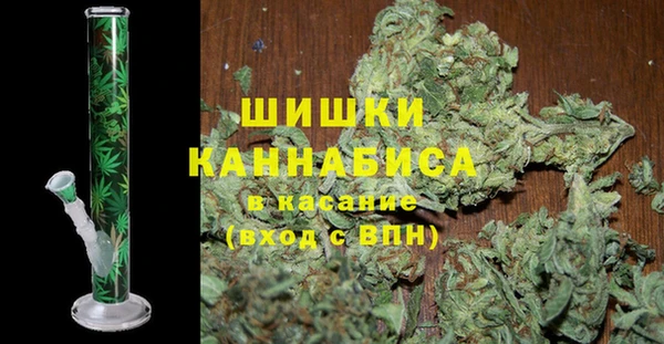 хмурый Арсеньев