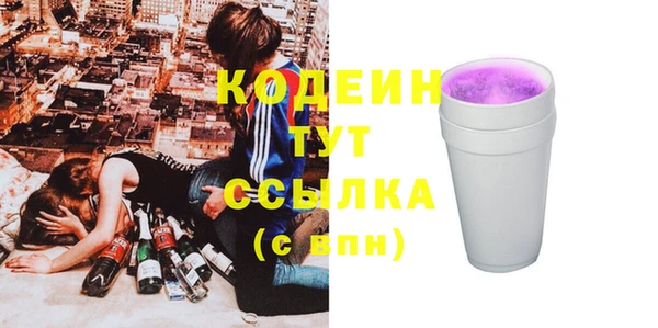 хмурый Арсеньев