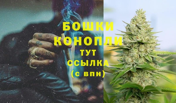 хмурый Арсеньев